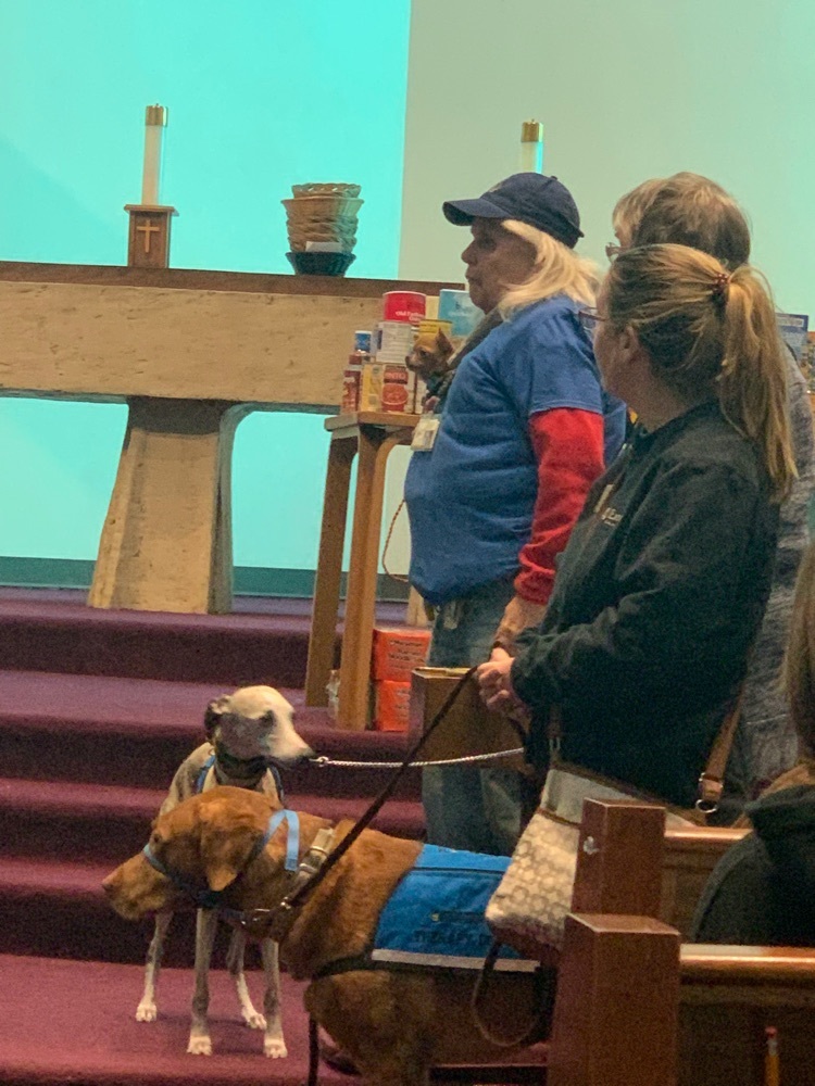 Pony Express Therapy Dogs