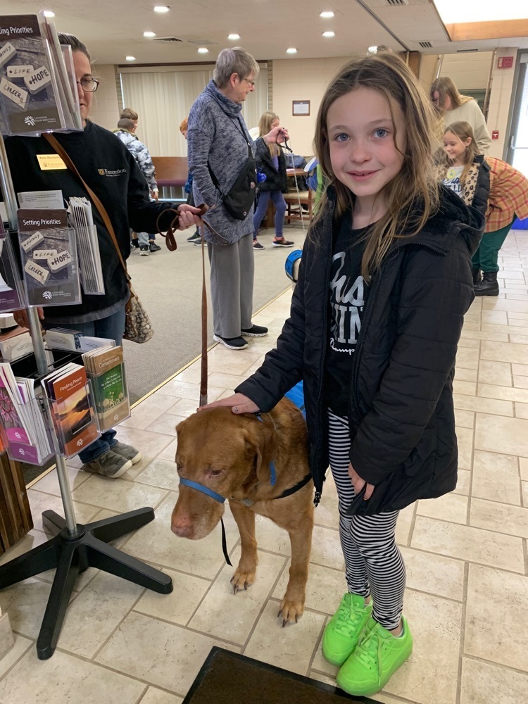 Pony Express Therapy Dogs