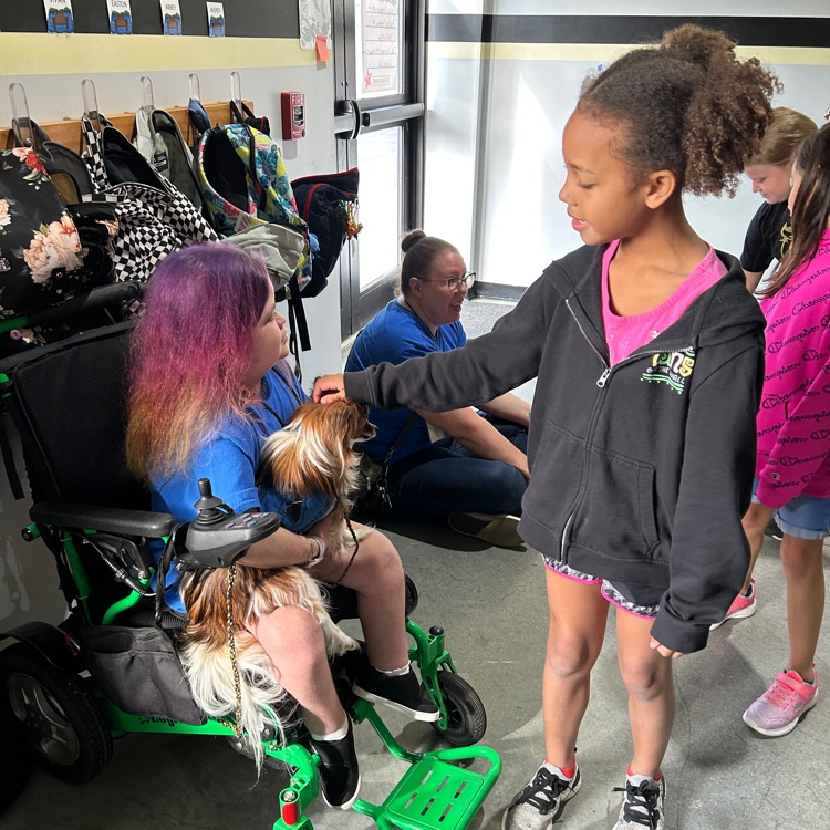 therapy dogs